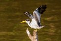 030 Brazilie, Santarem, amazonestern